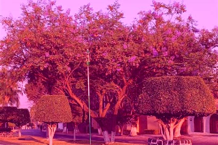 Olivia, 34 — Escort in Jacarandas, Mexico