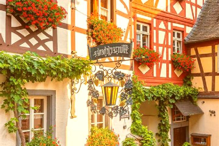 Olivia, 35 — Escort in Borslingen, Germany