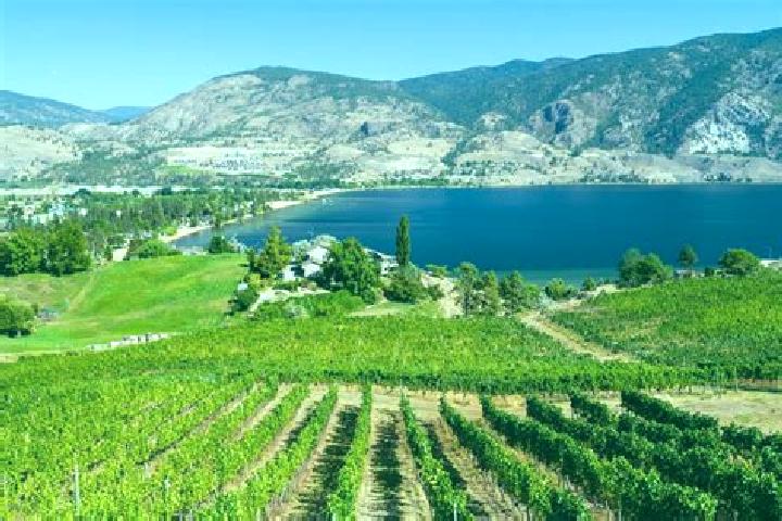 Olivia, 35 — Escort in Okanagan Mission, Canada