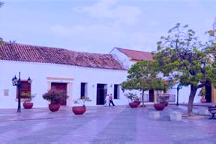 Olivia, 35 — Escort in San Juan del Cesar, Colombia