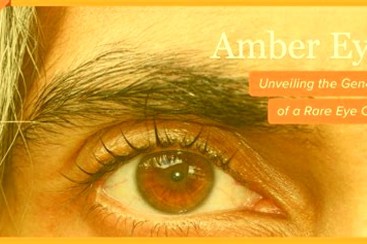 Olivia, 36, a black amber-eyed caucasian companion based in Mamre. Offering Travel Companion, Duos, 69, OWO. Available for incall and outcall, day and evenin...