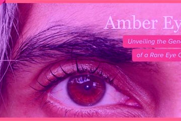 Olivia, 36, a red amber-eyed indian companion based in Pasaco. Offering Overnight, Duos, GFE, Domination. Available for incall and outcall, overnight booking...
