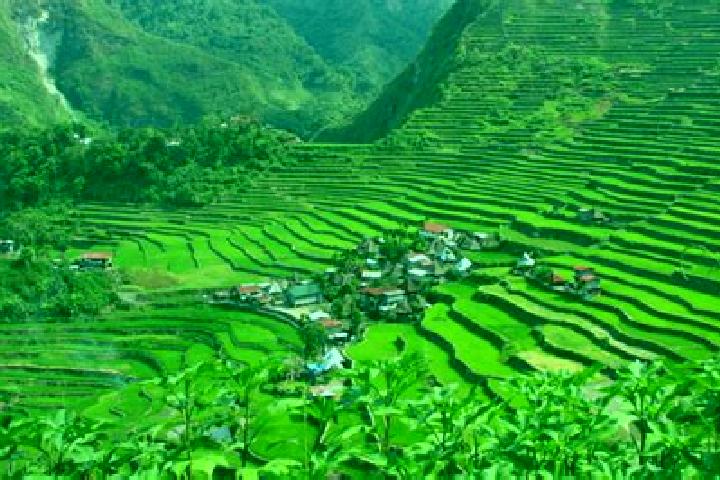 Olivia, 36 — Escort in Batad, Philippines