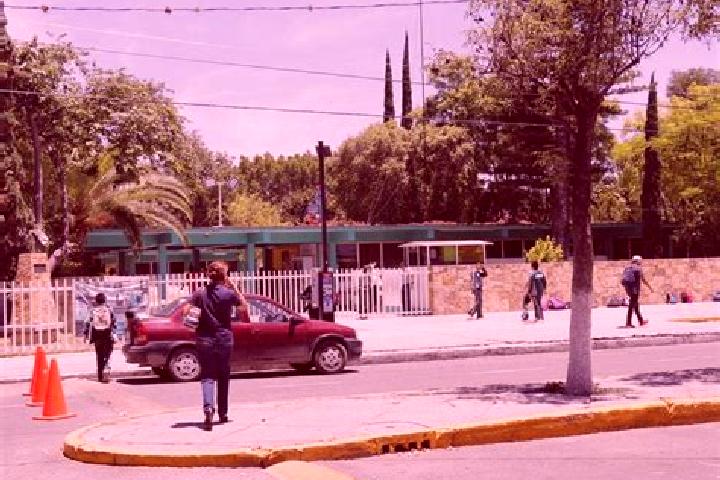 Olivia, 36 — Escort in Jorge L. Tamayo (Poblado Dos), Mexico