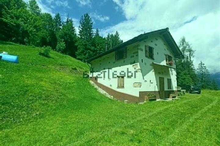 Olivia, 37 — Escort in Laggio di Cadore, Italy