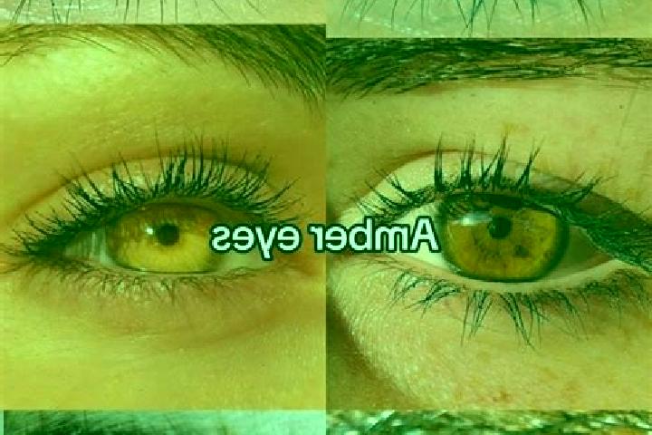 Olivia, 38, a chestnut amber-eyed middle eastern companion based in Belfield. Offering CIM, Prostate Massage, GFE. Available for incall and outcall, day and ...