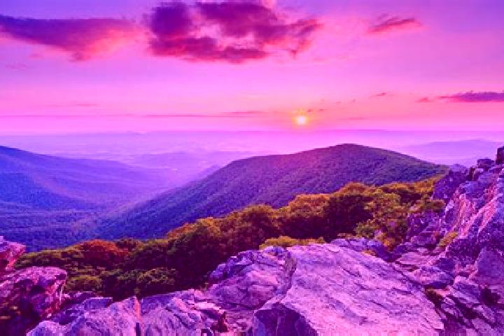 Olivia, 38 — Escort in Back Mountain, United States