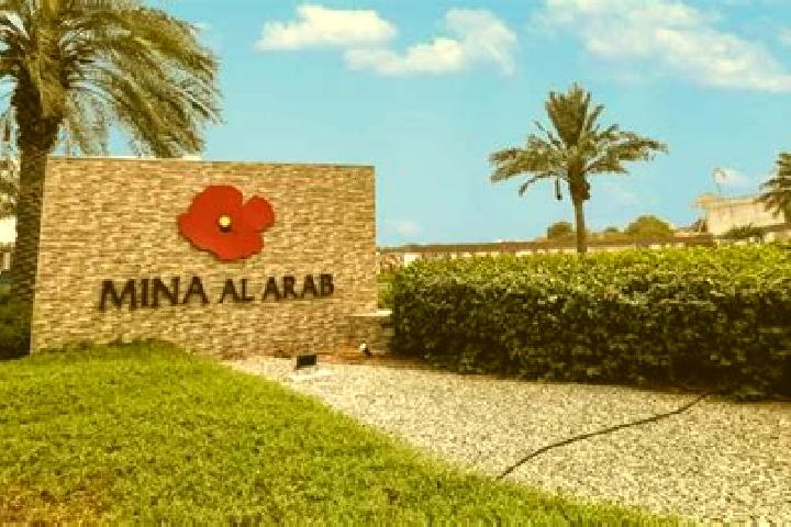 Olivia, 39 — Escort in Al Rashaydeh, Palestine