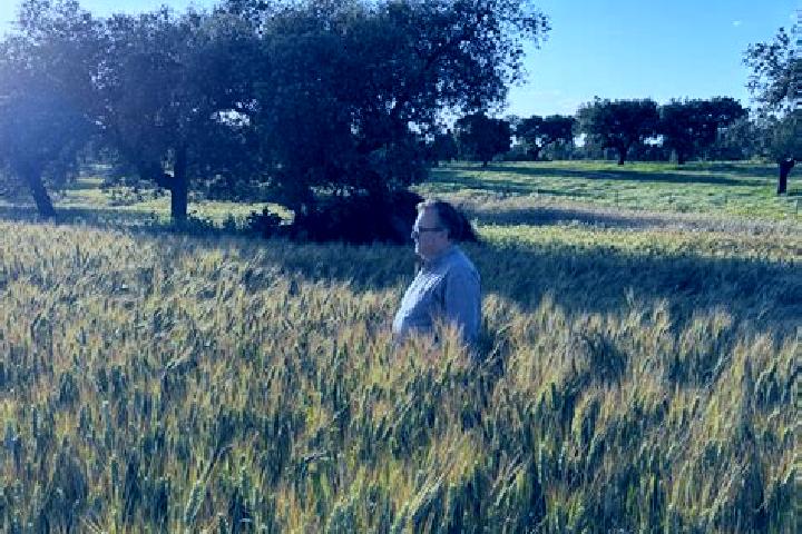 Olivia, 39 — Escort in Esparragalejo, Spain