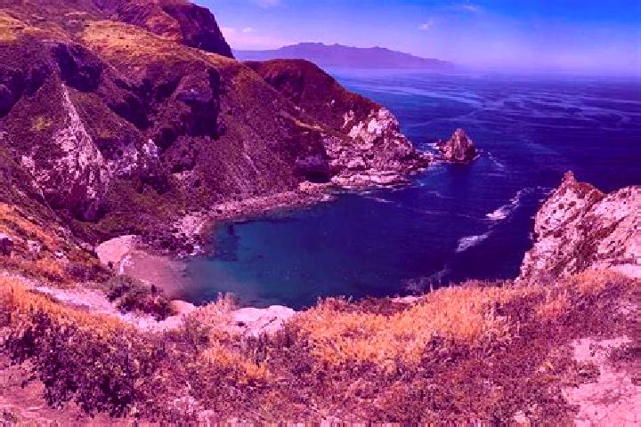 Penelope, 20 — Escort in Channel Islands Beach, United States