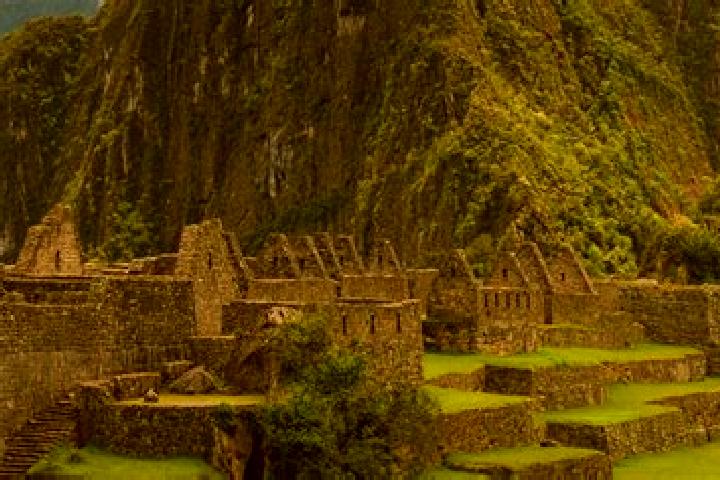 Penelope, 20 — Escort in Cullcuyre, Peru