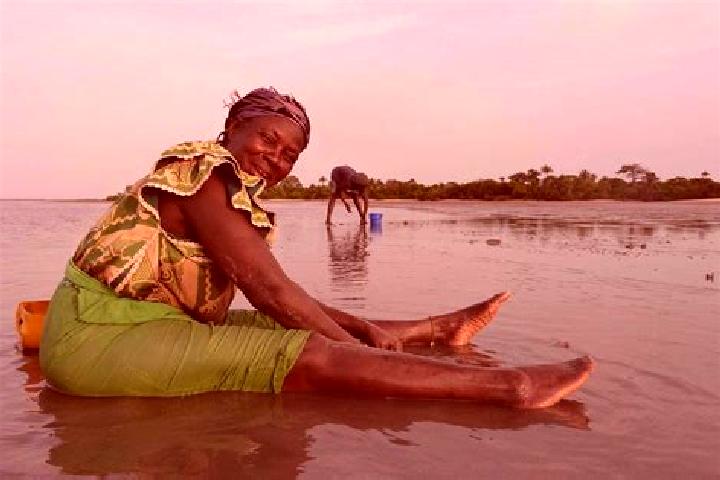 Penelope, 20 — Escort in Jambanjali, Gambia