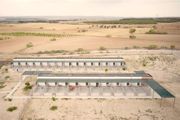 Penelope, 20 — Escort in Nuevo Refugio de Afuera (Nuevo Refugio), Mexico