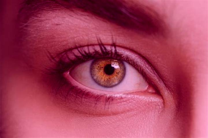 Penelope, 21, a chestnut hazel-eyed mixed companion based in Adilabad. Offering CIM, OWO, 69, Travel Companion. Available for incall and outcall, overnight b...