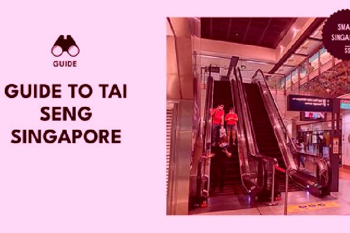 Penelope, 21 — Escort in Tai Seng, Singapore