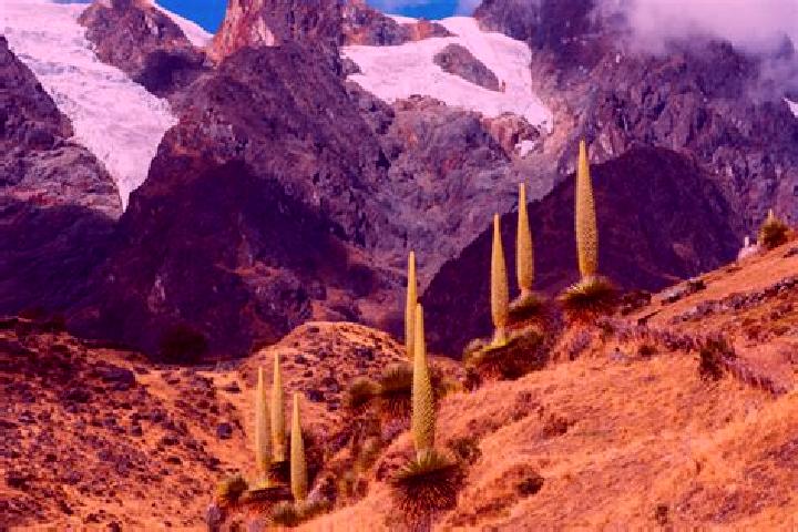 Penelope, 22 — Escort in Catac, Peru