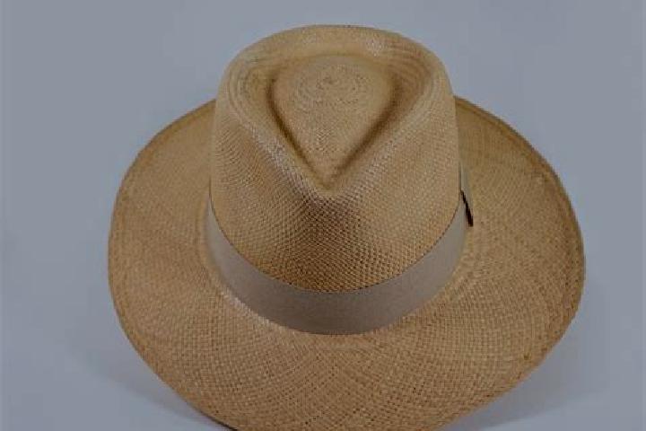 Penelope, 23 — Escort in Paja de Sombrero, Panama