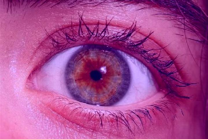 Penelope, 24, a red hazel-eyed slavic companion based in Rubirizi. Offering Fetish, Dinner Date, Girlfriend Experience, Domination. Available for incall and ...