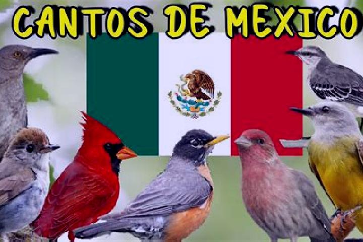 Penelope, 24 — Escort in Los Pajaros, Mexico