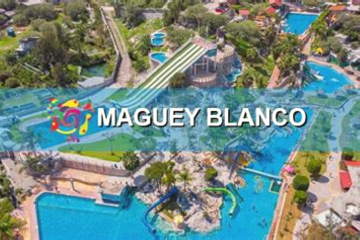 Penelope, 24 — Escort in Maguey Blanco, Mexico