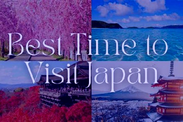 Penelope, 24 — Escort in Taku, Japan