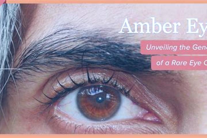 Penelope, 26, a dark blonde amber-eyed european companion based in Vivonne. Offering Fetish, GFE, Overnight. Available for incall and outcall, day and evenin...