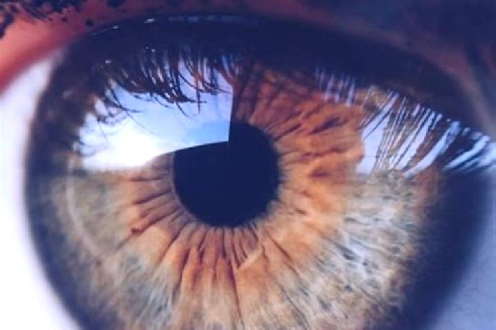 Penelope, 26, a red hazel-eyed caribbean companion based in Sao Domingos. Offering Roleplay, Massage, Erotic Massage, Fetish. Available for incall and outcal...