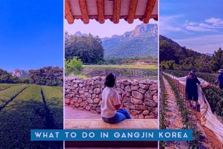 Penelope, 26 — Escort in Gangjin, South Korea