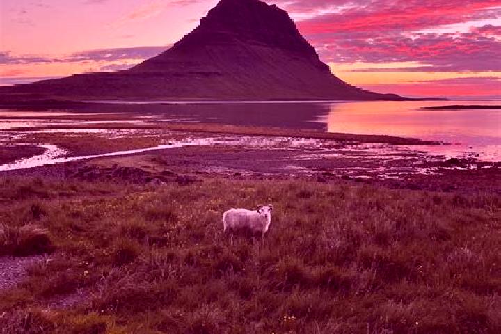 Penelope, 27 — Escort in Vopnafjoerdur, Iceland