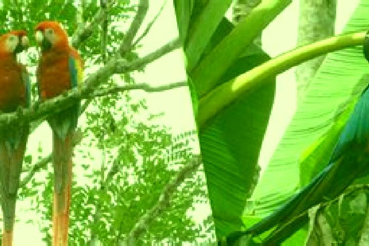 Penelope, 28 — Escort in Guacamayas, Colombia