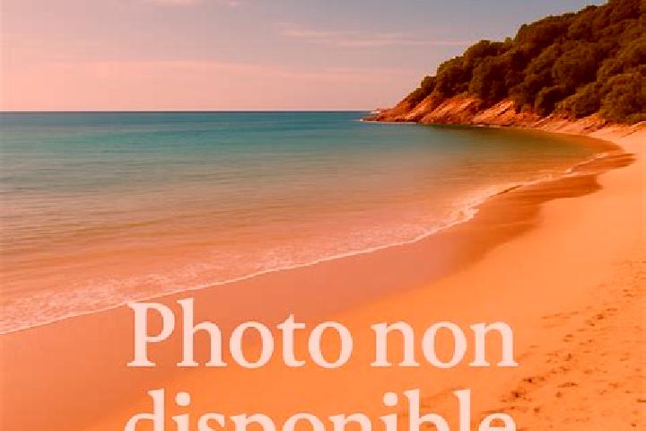 Penelope, 28 — Escort in Zuydcoote, France