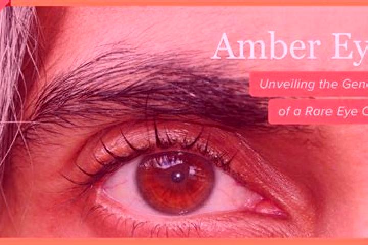 Penelope, 29, a red amber-eyed caucasian companion based in Hathras. Offering Massage, CIM, Domination. Available for incall and outcall, day and evening dates.
