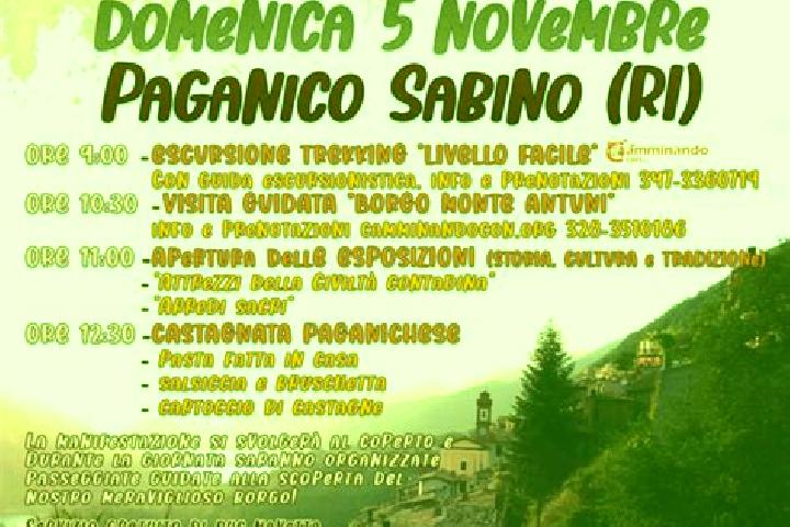 Penelope, 29 — Escort in Paganico Sabino, Italy