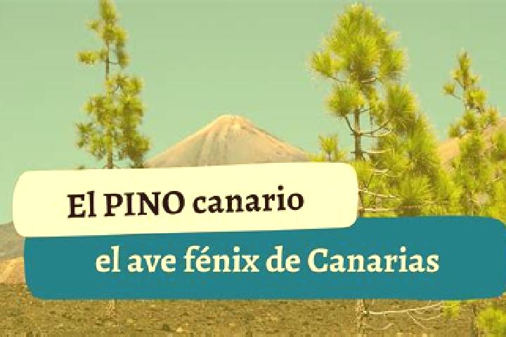 Penelope, 30 — Escort in El Pino, Mexico