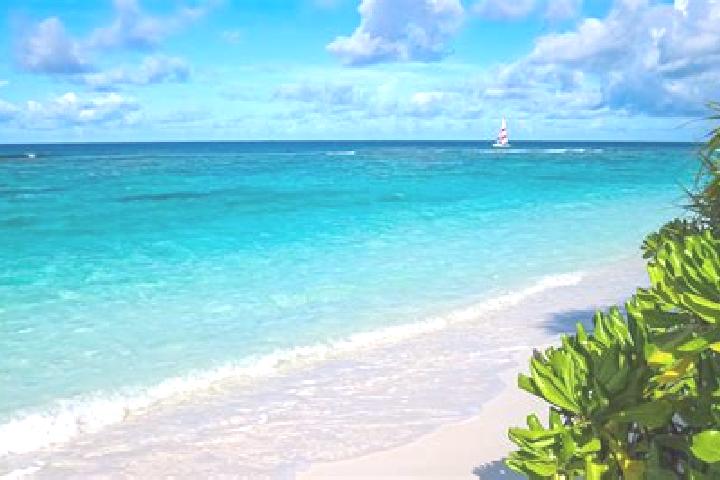 Penelope, 31 — Escort in East End, Cayman Islands