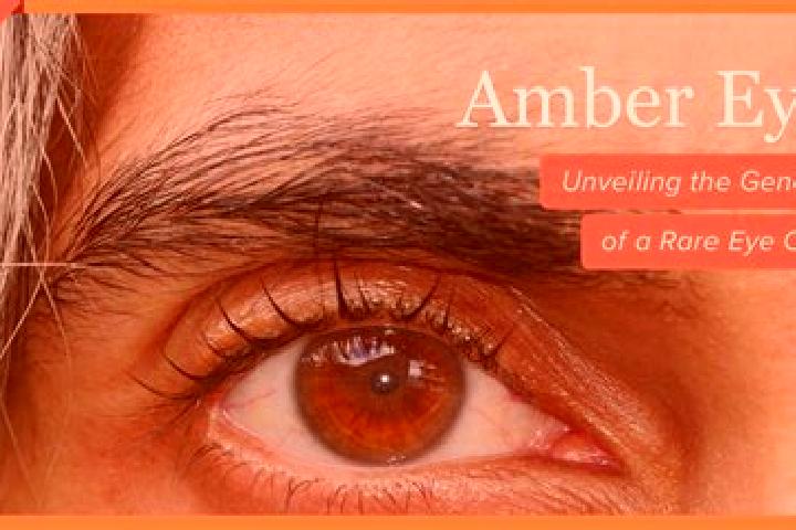 Penelope, 32, a black amber-eyed middle eastern companion based in Techelsdorf. Offering Travel Companion, GFE, Striptease, CIM. Available for incall and out...
