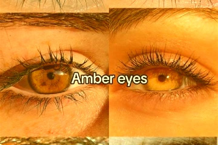 Penelope, 32, a chestnut amber-eyed european companion based in Sargans. Offering Overnight, OWO, Dinner Date, Party Girl, Couples. Available for incall and ...
