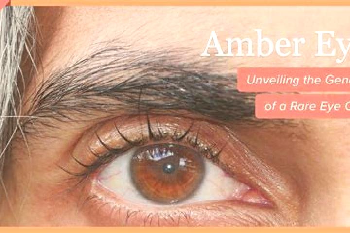 Penelope, 32, a red amber-eyed slavic companion based in Village of Oak Creek (Big Park). Offering Massage, CIM, Party Girl. Available for incall and outcall...