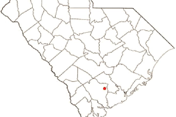 Penelope, 32 — Escort in Cottageville, United States