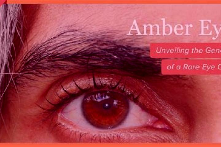 Penelope, 33, a red amber-eyed caucasian companion based in Minapasoc. Offering Dinner Date, Domination, Roleplay. Available for incall and outcall, overnigh...