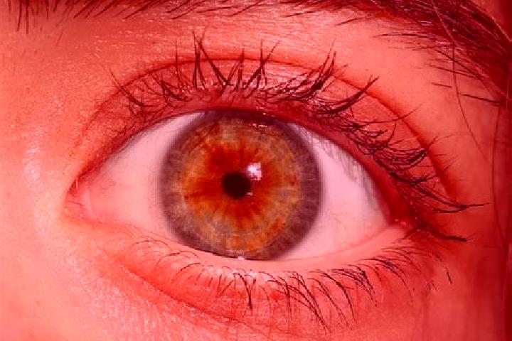 Penelope, 33, a red hazel-eyed indian companion based in Hasenmoor. Offering Tantra, 69, Couples. Available for incall and outcall, overnight bookings availa...