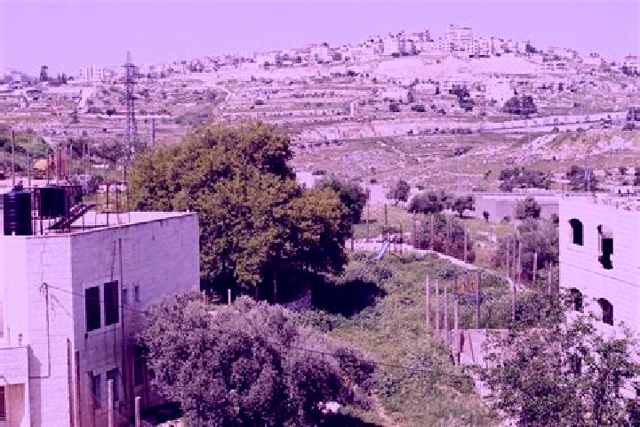 Penelope, 34 — Escort in Biddu, Palestine