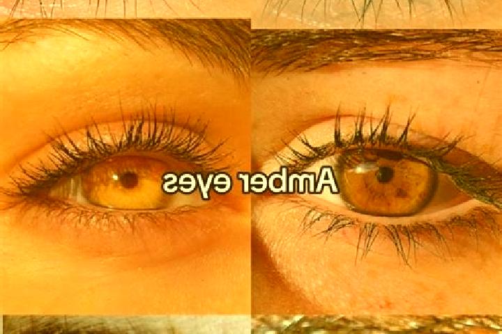 Penelope, 35, a chestnut amber-eyed ebony companion based in La Colorada. Offering Party Girl, Massage, Girlfriend Experience. Available for incall and outca...
