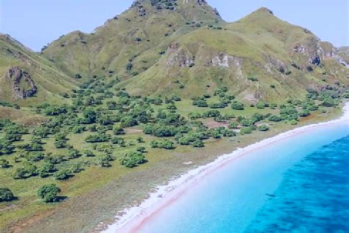 Penelope, 35 — Escort in Tatakamotonga, Tonga