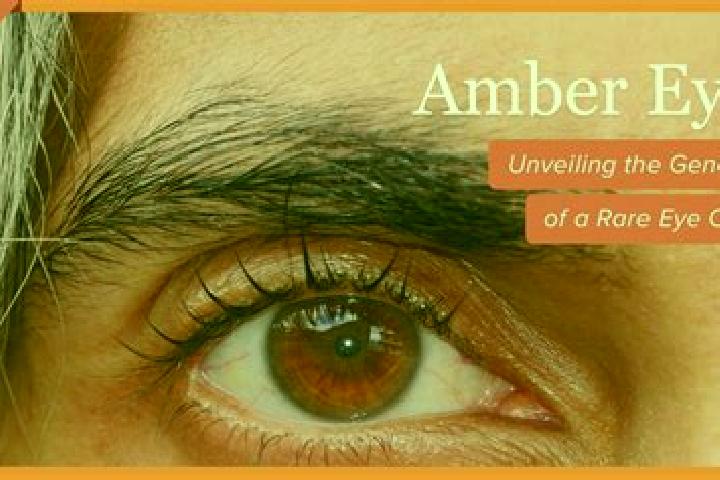 Penelope, 37, a black amber-eyed mediterranean companion based in Bukovik. Offering Striptease, 69, GFE. Available for incall and outcall, overnight bookings...