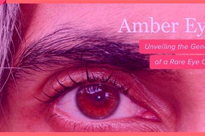 Penelope, 37, a black amber-eyed mediterranean companion based in Waltham Cross. Offering Dinner Date, Striptease, Couples, Girlfriend Experience, Overnight....