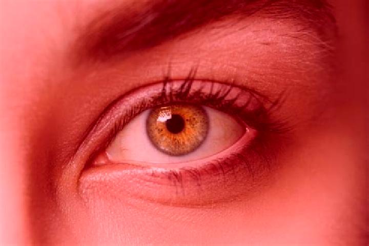 Penelope, 38, a chestnut hazel-eyed mixed companion based in San Felipe de la Rosa. Offering Domination, Girlfriend Experience, 69, CIM. Available for incall...