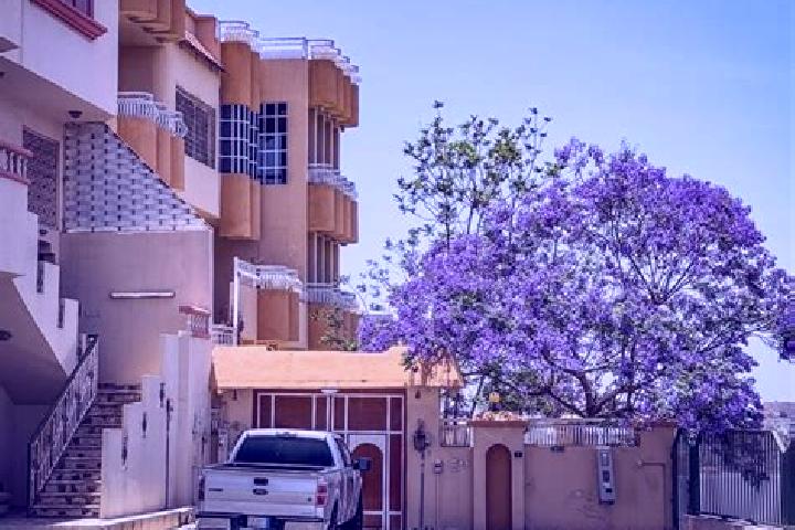 Penelope, 38 — Escort in Abha, Saudi Arabia