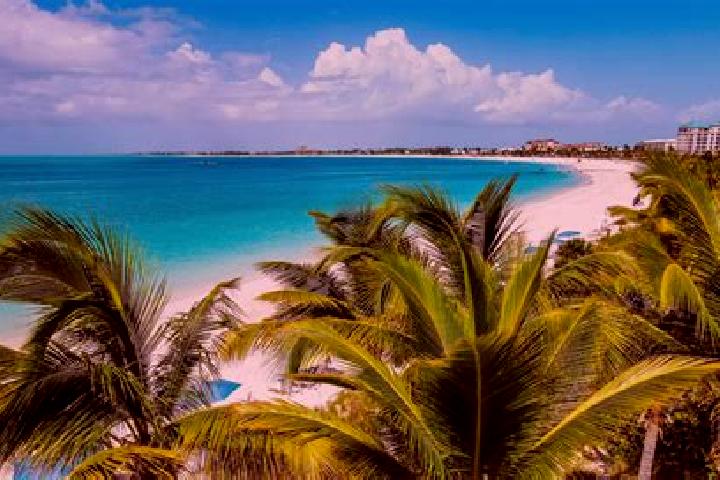Penelope, 38 — Escort in Kew, Turks and Caicos Islands