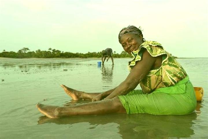 Penelope, 38 — Escort in Kumbijae, Gambia